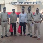 5318735 Untitled 33 Copy.jpg