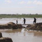 5324032 Untitled 72 Copy.jpg