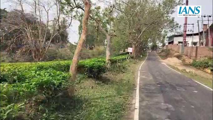 5324047 Untitled 85 Copy.jpg