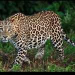 Img 20260303 Wa0254.jpg