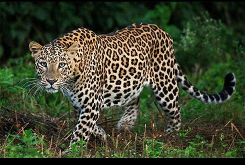 Img 20260303 Wa0254.jpg