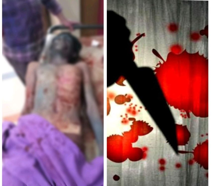 Img 20260304 145233 1024x887.jpg