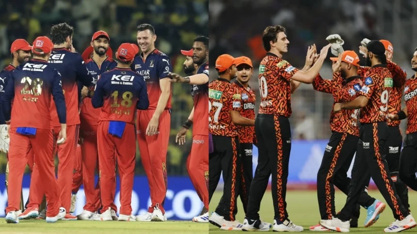 Rcb Vs Srh Ipl 2025.jpg