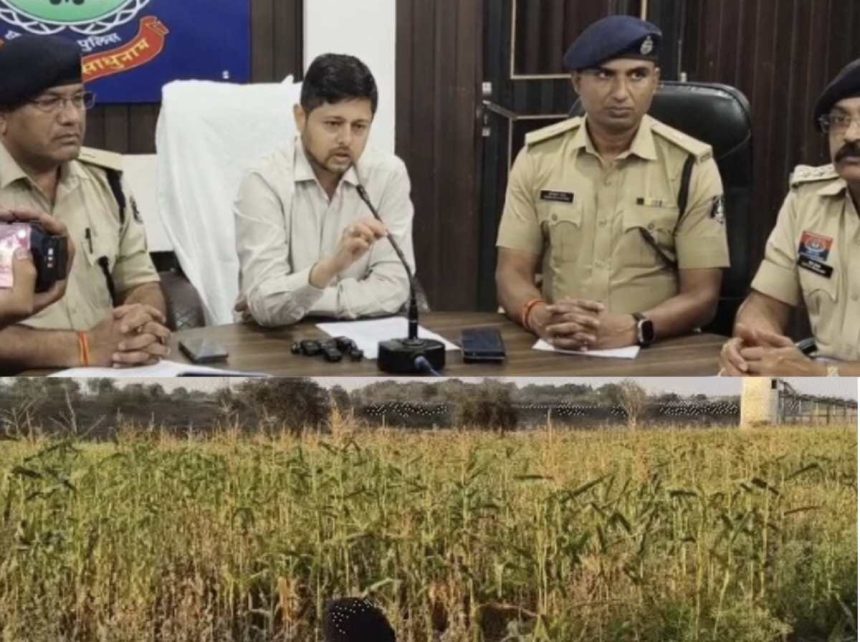 Whatsapp Image 2026 03 07 At 7.57.04 Pm.jpeg