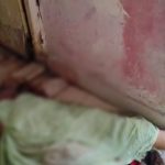 Whatsapp Image 2026 03 08 At 5.56.33 Pm 1.jpeg