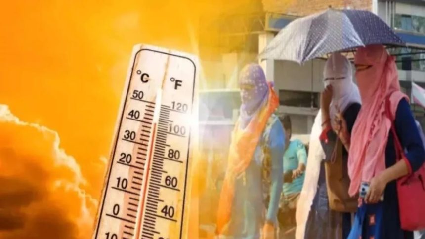 Whatsapp Image 2026 03 09 At 08.22.56.jpeg