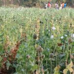 Whatsapp Image 2026 03 11 At 22.06.49.jpeg