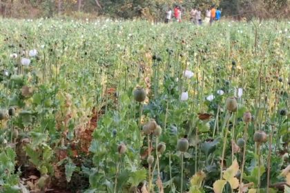 Whatsapp Image 2026 03 11 At 22.06.49.jpeg