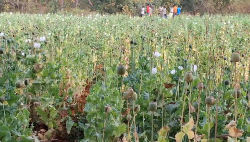 Whatsapp Image 2026 03 11 At 22.06.49.jpeg