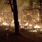 Whatsapp Image 2026 03 15 At 11.35.25 Am 1.jpeg