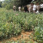 Whatsapp Image 2026 03 20 At 1.19.25 Pm.jpeg