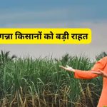 Whatsapp Image 2026 03 20 At 22.25.40.jpeg