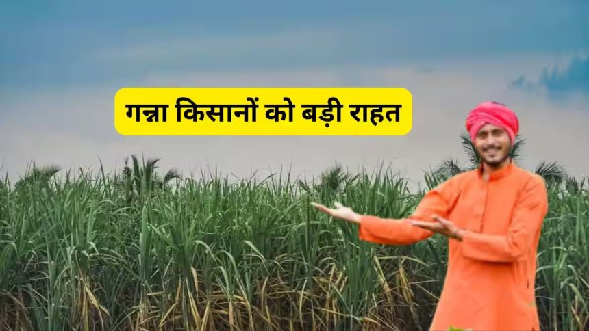 Whatsapp Image 2026 03 20 At 22.25.40.jpeg