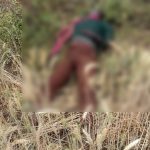 Whatsapp Image 2026 03 20 At 4.15.52 Pm.jpeg