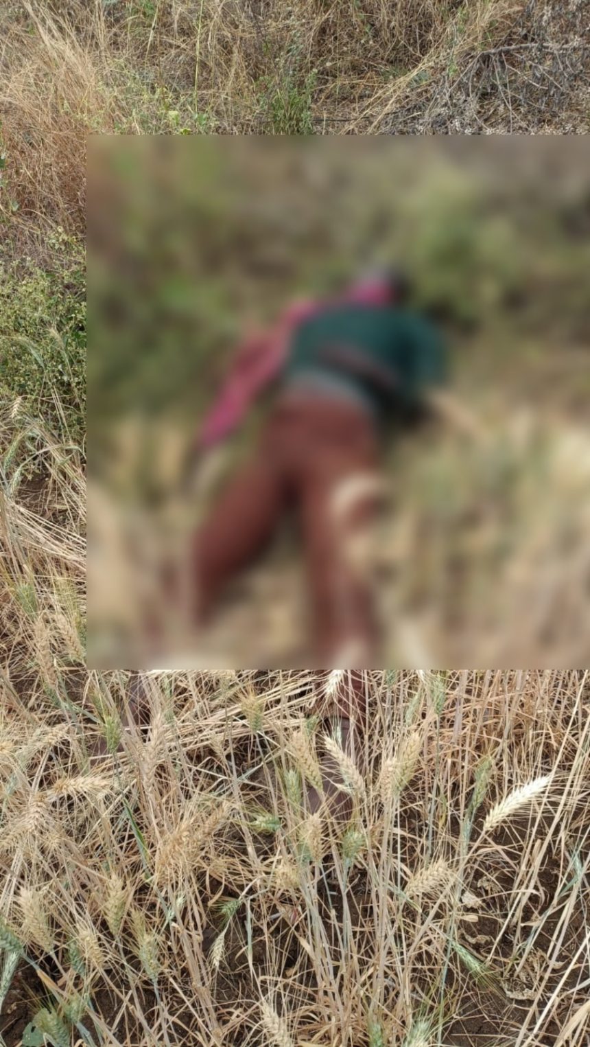 Whatsapp Image 2026 03 20 At 4.15.52 Pm.jpeg