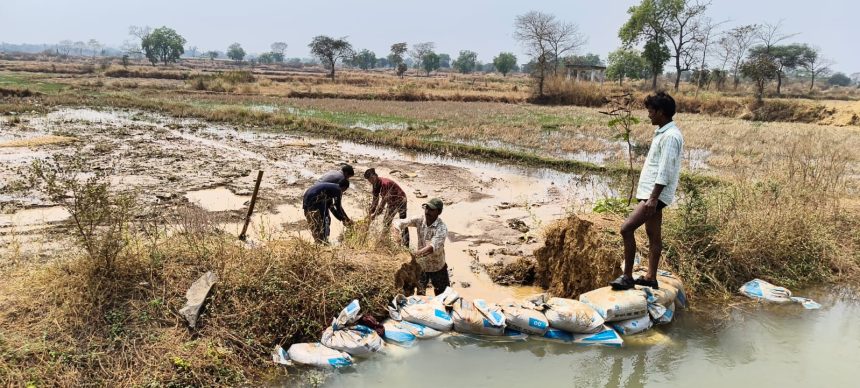 Whatsapp Image 2026 03 24 At 9.43.42 Am.jpeg