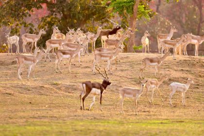 Whatsapp Image 2026 03 30 At 2.37.33 Pm.jpeg