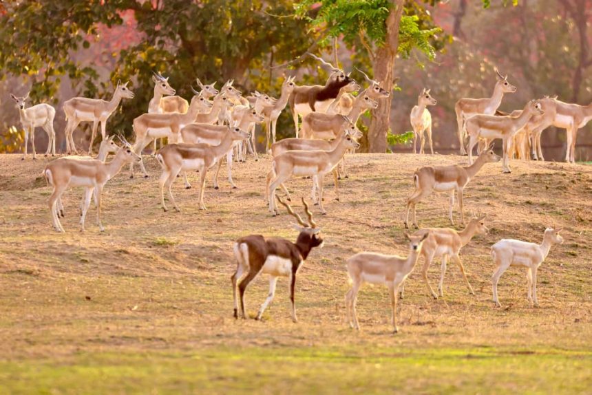 Whatsapp Image 2026 03 30 At 2.37.33 Pm.jpeg