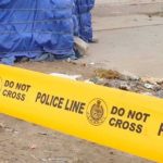 5331174 Untitled 8 Copy.jpg