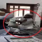 5333024 Untitled 9 Copy.jpg