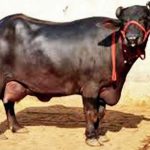 5335458 Untitled 3 Copy.jpg