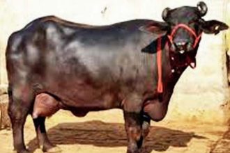 5335458 Untitled 3 Copy.jpg