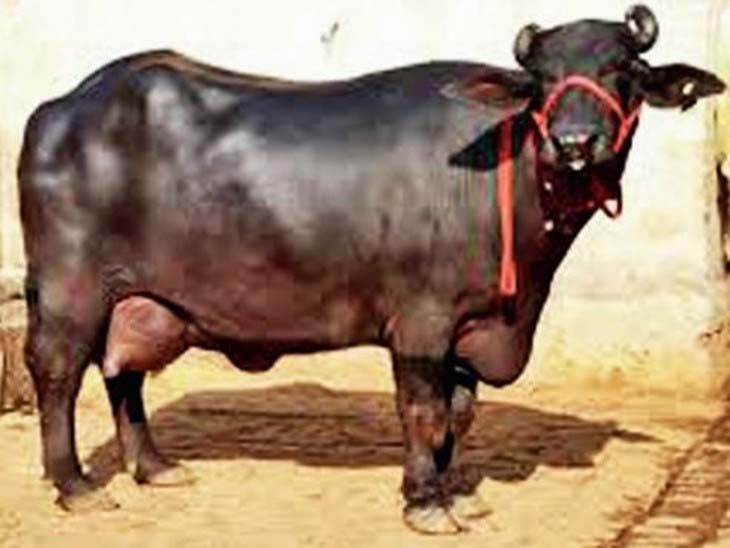 5335458 Untitled 3 Copy.jpg