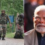 5359128 Untitled 7 Copy.jpg