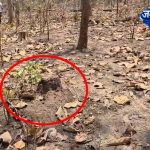 5366510 Untitled 36 Copy.jpg