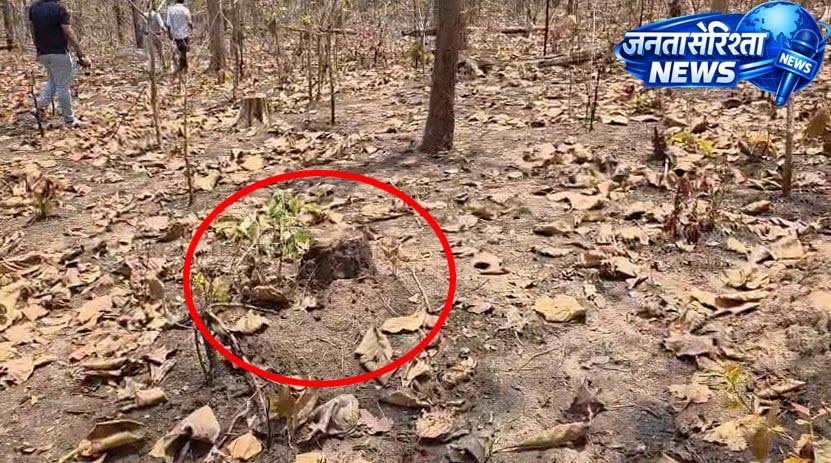 5366510 Untitled 36 Copy.jpg