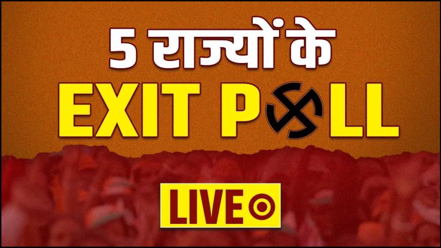 5372312 Untitled 44 Copy.jpg