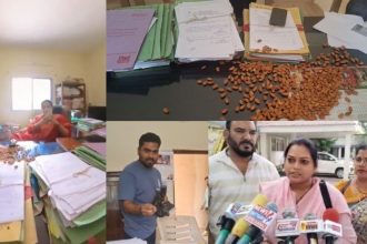 Badam E1776511924749.jpg