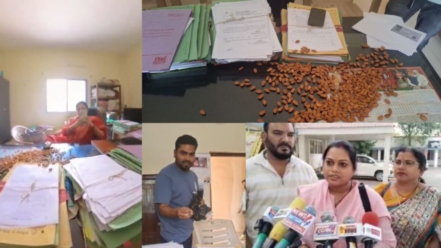 Badam E1776511924749.jpg