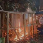 Screenshot 2026 04 16 21 15 21 59 6012fa4d4ddec268fc5c7112cbb265e7 461x1024.jpg