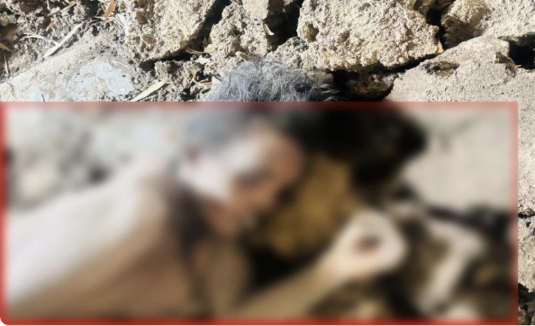 Screenshot 20260418 081706 Samsung Internet