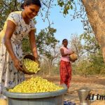 Screenshot 20260421 123647 Chatgpt