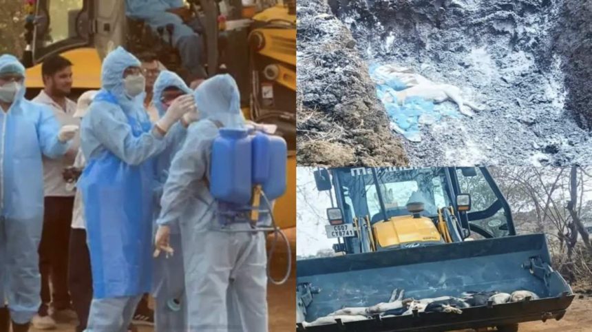 Whatsapp Image 2026 04 07 At 7.15.36 Pm.jpeg