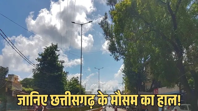 Whatsapp Image 2026 04 08 At 09.15.32.jpeg