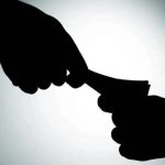 Whatsapp Image 2026 04 17 At 19.13.02.jpeg