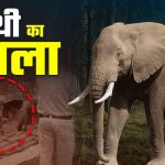 Whatsapp Image 2026 04 21 At 10.58.40.jpeg