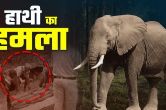 Whatsapp Image 2026 04 21 At 10.58.40.jpeg