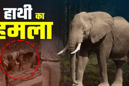 Whatsapp Image 2026 04 21 At 10.58.40.jpeg