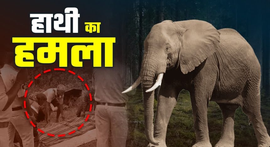 Whatsapp Image 2026 04 21 At 10.58.40.jpeg