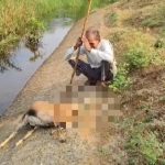 Whatsapp Image 2026 04 28 At 11.38.30 Am.jpeg