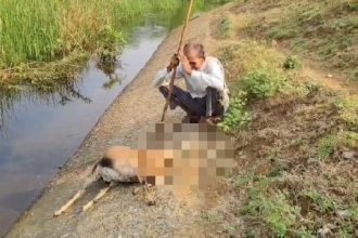 Whatsapp Image 2026 04 28 At 11.38.30 Am.jpeg