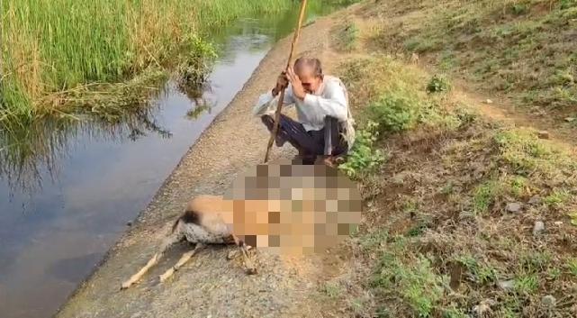 Whatsapp Image 2026 04 28 At 11.38.30 Am.jpeg