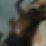 Whatsapp Image 2026 04 29 At 6.53.07 Pm.jpeg