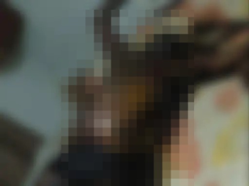 Whatsapp Image 2026 04 29 At 6.53.07 Pm.jpeg