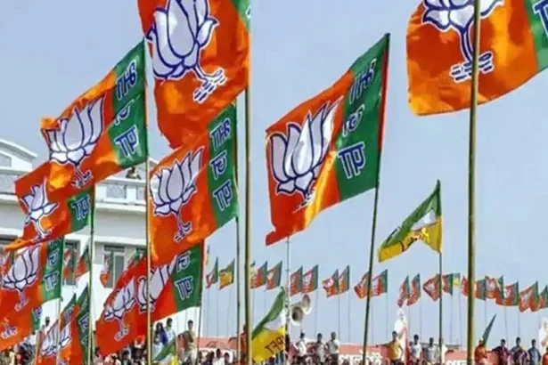 VIDEO: पश्चिम बंगाल, तमिलनाडु समेत 5 राज्यों में वोटों की गिनती से पहले दिल्ली BJP मुख्यालय में जश्न की तैयारी, पूरियां और मिठाइयां की जा रही हैं तैयार
