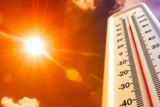 Heatwave.jpg